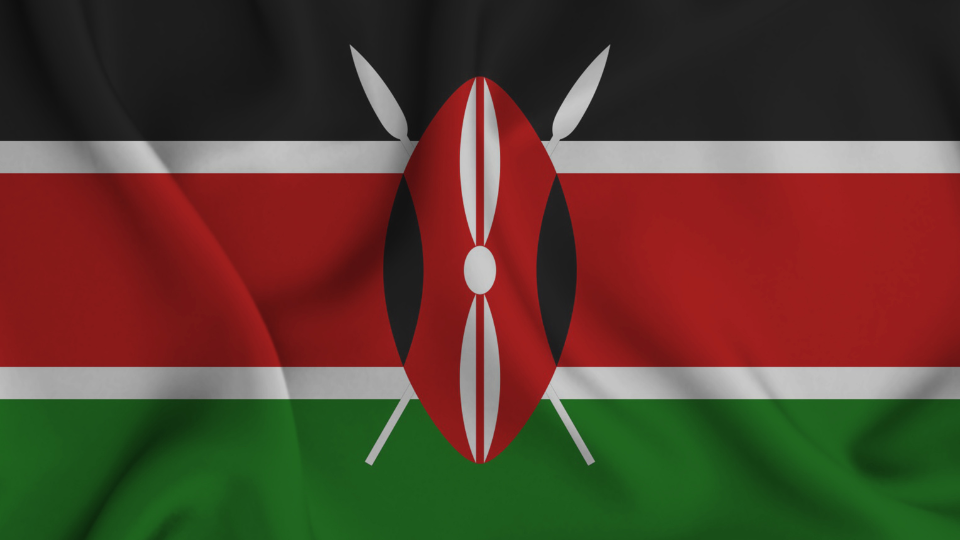 Kenya Democratic Governance